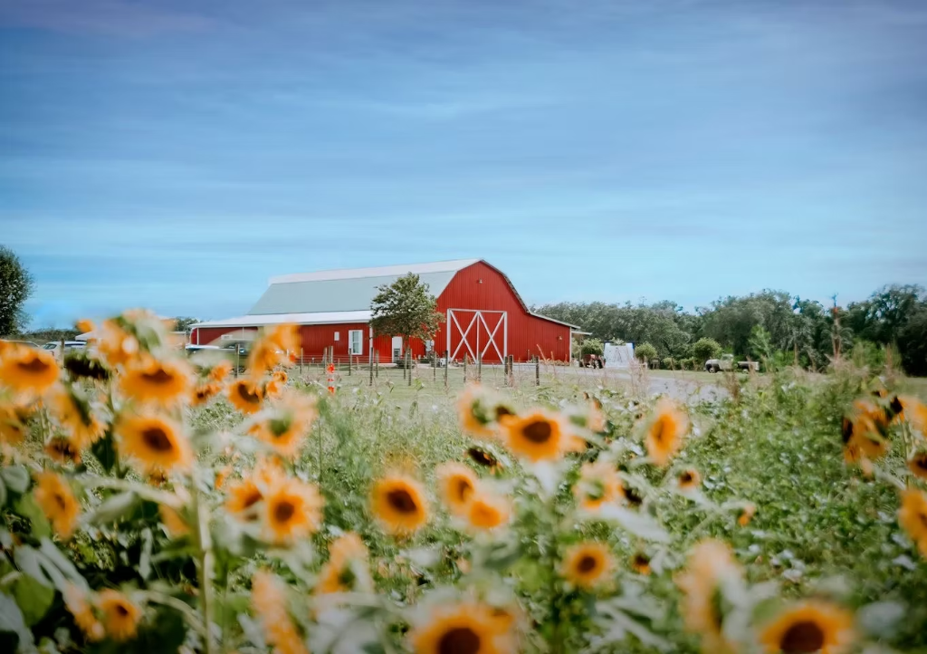 The Big Red Barn